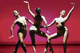 Image result for incolballet