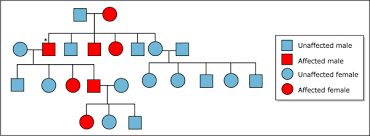 genetics fundamentals of biology biology mit