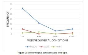 Image result for Afrostyrax kamerunensis
