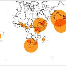 Image result for Tragia grandistipularis
