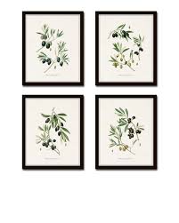 Antique Olive Print Set No 1 Collage Botanical Prints Etsy Botanical Print Set Print Sets Botanical Prints