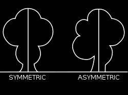 Maybe you would like to learn more about one of these? The Canadian Nature Photographer Symmetry In Art And Photography Mirror Images