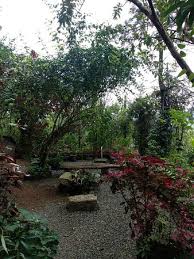 Little Flower Farms Vagamon Kerala Campground Reviews Photos Tripadvisor