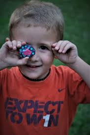 Clue rocks found and rehid at Field of Dreams