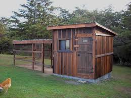 Protect your birds from now is the time to consider its placement. Rural Rehatch Backyard Chickens Learn How To Raise Chickens