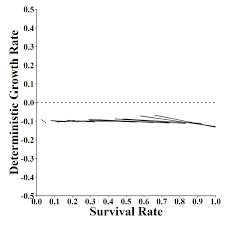 The Effects Of Varying Female Age Specific Mortality Rates