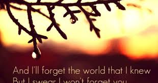 Vanilla Twilight 3 Owl City Lyrics Owl City Music Love