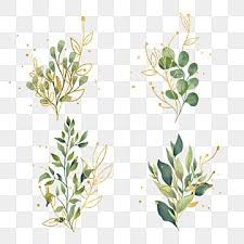 hand painted green golden branch leaves plant leaf clipart hand painted golden png transparent clipart image and psd file for free download poster bunga karangan bunga natal lukisan bunga