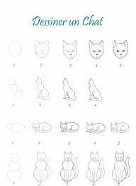 Comment dessiner un chat et apprendre facilement ? | Comment dessiner un  chat, Tutoriel dessin chat, Dessin chat