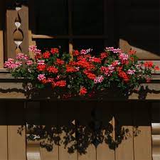 Oostenrijkse gerechten met geschiedenis, heerlijke wijnen en regionale specialiteiten, inclusief recepten. Achter De Geraniums Weblog De Berghut