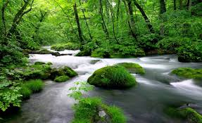 Full Screen 3d Wallpaper Hd Nature 72975 views | 122336 downloads. full screen 3d wallpaper hd nature