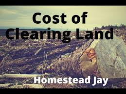 The average cost per acre of land can vary across the united states, but does have a general range. How Much Does It Cost To Clear Land Youtube