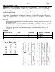 Identity victims of war and large scale disasters 3. Answers Dna Fingerprinting Activity Answer Key Dna Fingerprinting Activity Introduction Dna Fingerprinting Relies On The Fact That The Dna Code Is Course Hero