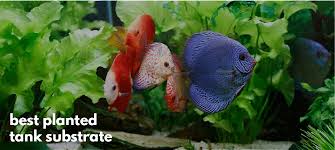 You can use it, but it is very messy and you will never have a clear aquarium again. 10 Best Planted Aquarium Substrate Choices Expert S Review