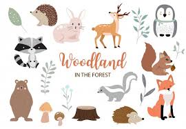 Download Watercolor Woodland Animals Clipart Graphics Hand Painted Png 102 Bear Squirrel Bunny Raccoon Forest Baby Animal Clip Art Fox Paper Party Kids Craft Supplies Tools Seasonalliving Com