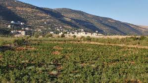 Monappart dar el barka, nouakchott. About The Lebanese Winery Chateau Barka