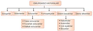 Canlilarin Siniflandirilmasi