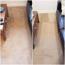 How To Get Dried Dog Pee Out Of Carpet Br Fresh Zest Carpet Care