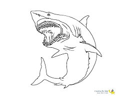 School's out for summer, so keep kids of all ages busy with summer coloring sheets. Shark Coloring Pages Kiddo Shark Coloring Pages Fish Coloring Page Whale Coloring Pages