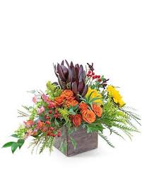 24/7 customer service · same or next day delivery Aurora Moment In San Antonio Tx Flower Delivery Thanksgiving Flowers Order Flowers Online