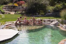 Schwimmteich Basic Gartengestaltung Zangl Schwimmteich Schwimmbader Hinterhof Naturschwimmbader