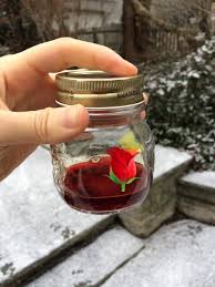 Check spelling or type a new query. Meine Abtreibung Nein Zum Baby Ja Zum Leben Any Working Mom