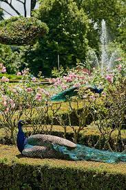 Pin By Elis Tutu On Castles Warwick Castle Peacock Images Beautiful Birds