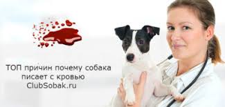 Ознаки здорового сечового міхура