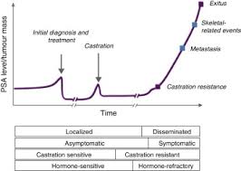 Metastatic patients, hormone sensitive 1. Prostate Cancer Sciencedirect