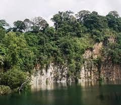 The price points for bukit batok bto flats are likely to be approximately $20,000 to $50,000 lower than those in tengah. A Hidden Gem In Singapore Picture Of Bukit Batok Nature Park Singapore Tripadvisor