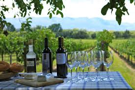 Tarija Ruta Del Vino Bolivianing