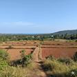 Farmland Plots in Devgad product image