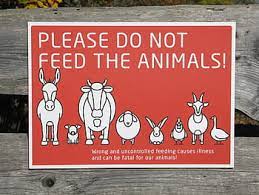 Here are some of the best. Royalty Free Do Not Feed Photos Free Download Pxfuel