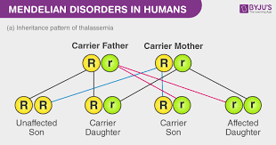 mendelian disorders different types of mendelian disorders