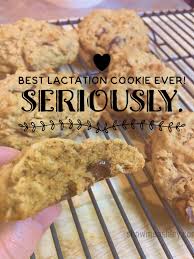 The Best Lactation Cookie Ever Seriously Recipe Lactation Cookies Lactation Cookies Recipe Recipes