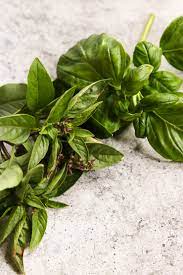 Holy basil ocimum sanctum is indigenous to india and southern asia. Thai Basil Vs Basil The Culinary Compass