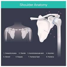 What type of wound do you probably have? All You Need To Know About Beauty Bone Femina In