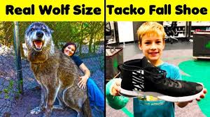 Sometimes they grow as big as two inches. Photos That Show The Real Size Of Things Youtube