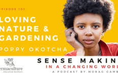 Dirt Girl World creator Cate McQuillen speaks with Morag Gamble