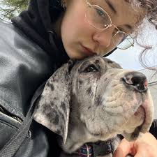 𝐃𝐨𝐠𝐌𝐨𝐦