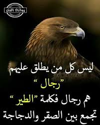 Pin By Sh Murad On همسات Quotes For Book Lovers Insprational Quotes Funny Arabic Quotes