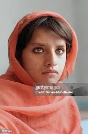 333 Darren Sell Photos & High Res Pictures