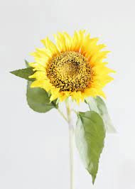Yellow Silk Sunflowers Wedding Flowers On Sale At Afloral Com In 2020 Silk Flowers Wedding Wholesale Flowers Wedding Fall Wedding Bouquets