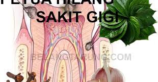 Petua Hilangkan Sakit Gigi Berdenyut Dengan Cara Semulajadi Bahan Bersifat Antiseptik Some Bullet For Your Head