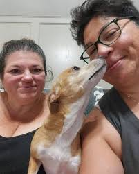 HAPPY TAIL! Amber has found her furever home with our wonderful friends at  Tail to Tail Training, and we couldn't be happier! This lucky little lady  stole hearts when she attended training…