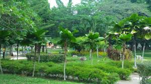 Pertabalan sultan perak ke 35. Taman Jubli Perak Playground Picture Of Taman Jubli Perak Playground Sungai Petani Tripadvisor
