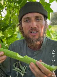 Where to find big gourd seeds?