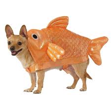 Pooch perfect is a dog grooming reality competition television program created by seven studios uk and first broadcast on the seven network. Rubies Goldfish Dog Costume Pet Costumes Dog Costumes Dog Halloween Costumes