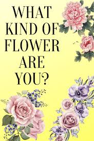 Ever Wonder What Kind Of Flower You Are Probably Not But Here S Your Chance To Find Out Aesthetic Quiz What Is My Aesthetic What S My Aesthetic