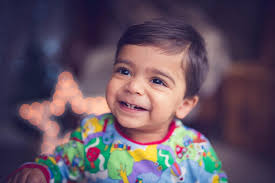 Photography By Little Bird